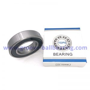 6006 RS bearing