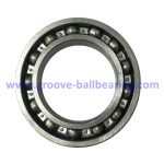 6010 bearing