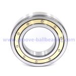 6020M bearing