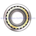 Z-534176.PRL Bearing