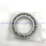 6013 bearing
