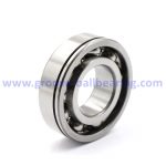 6306N bearing