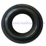 GEG100ES-2RS bearing