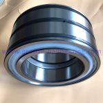 SL04-5015PP bearing