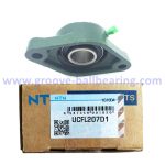 UCFL207D1 bearing