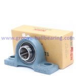 UCP206D1 bearing