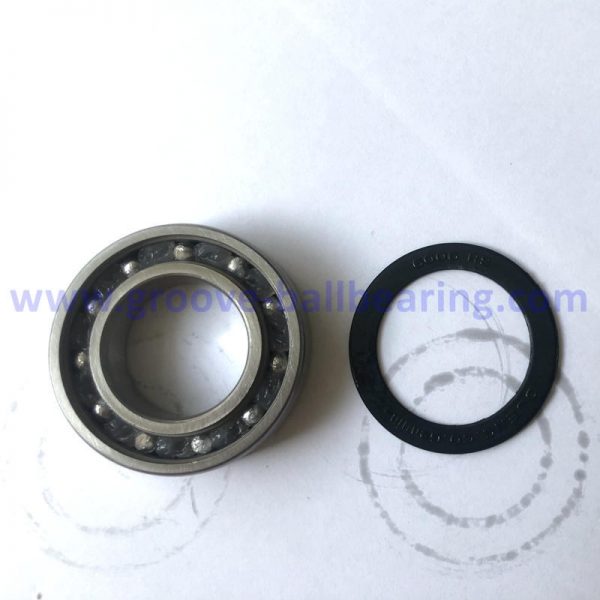 6006-RS bearing