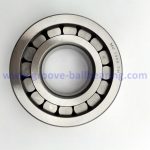 MU1309UM Bearing MU1309 Radial Cylindrical Roller Bearing 45*100*25