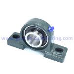 UCP211 pedestal bearing