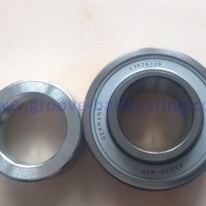 RAE30NPP ball bearing