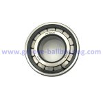 NV2205 bearing