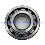 NJ310 bearing