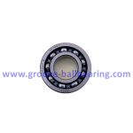 16002 bearing