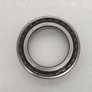 bearing N1014BTKRCC1P4