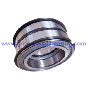 SL04-5022NR Bearing