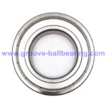 6309 ZZC3 Bearing