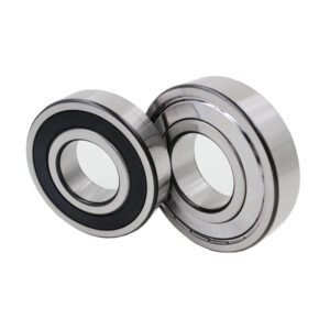 ZZ vs 2RS Bearings