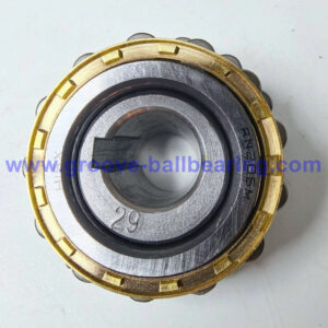 RN205-29 Bearing