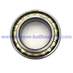 N1010 bearing