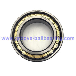 N1010 bearing